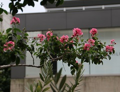 IMG_6234-9.jpg