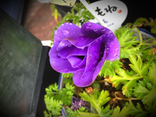 rblog-20150222132823-05.jpg