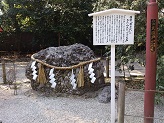 DSC_2753.jpg