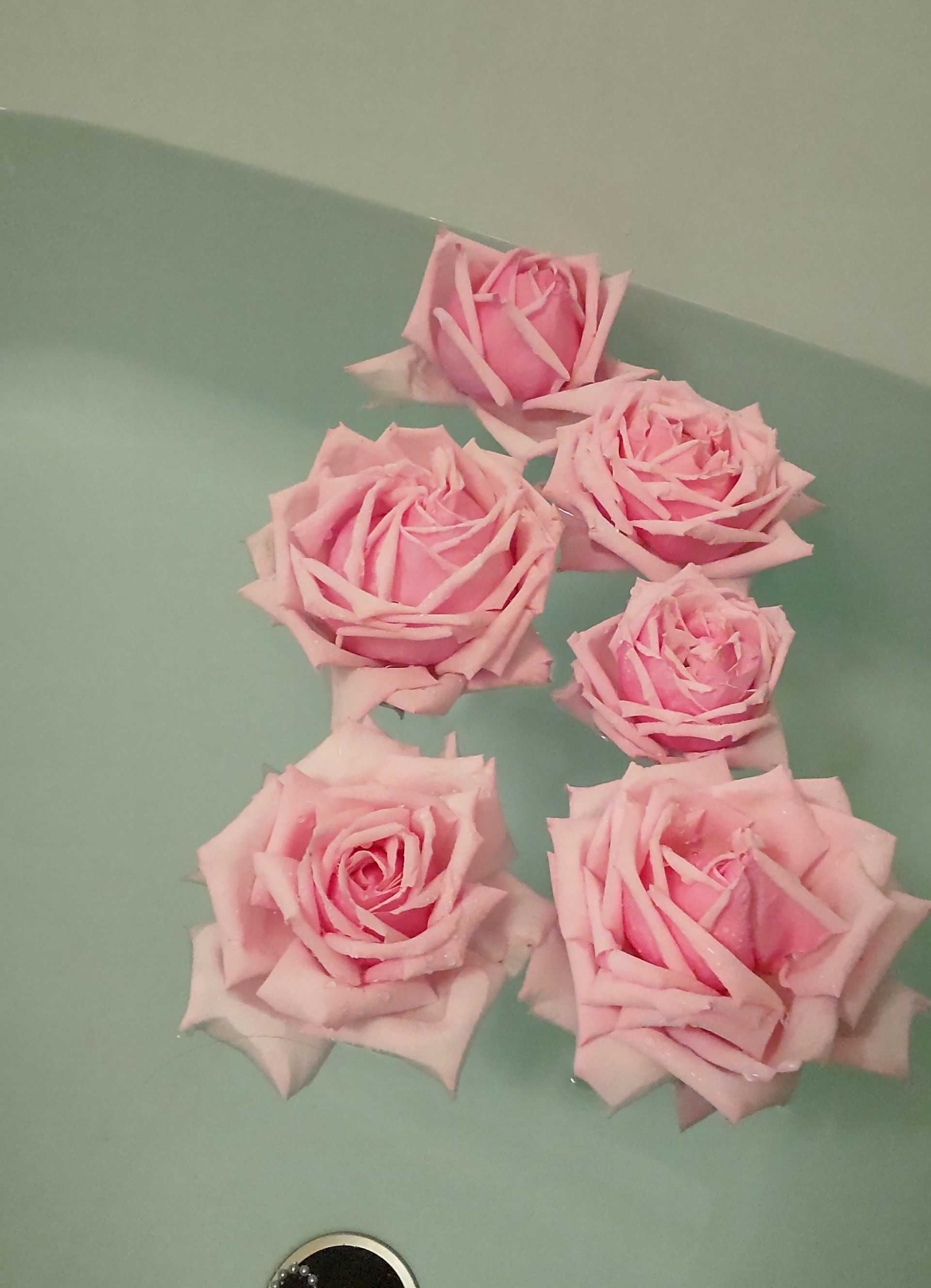 Kiiさま 貴方は薔薇より美しい 氷川きよしさん応援ブログ かずみ 楽天ブログ