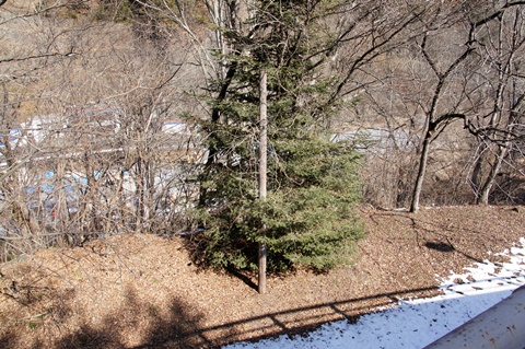 _DSC2773.JPG