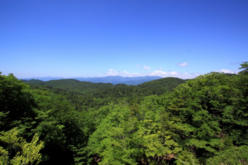 大台ケ原_002.jpg