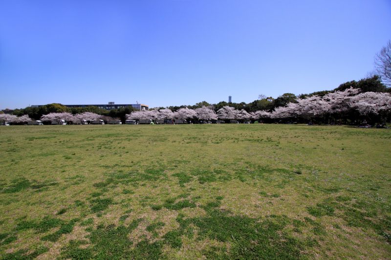 万博記念公園_005東面.jpg