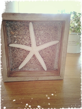 2014-05-15-10-43-43_deco.jpg