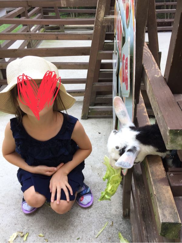 rblog-20180718131155-00.jpg