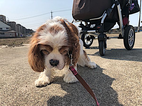 rblog-20180313133221-03.jpg