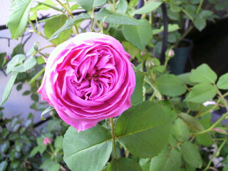 2012-04-20 20:29:37