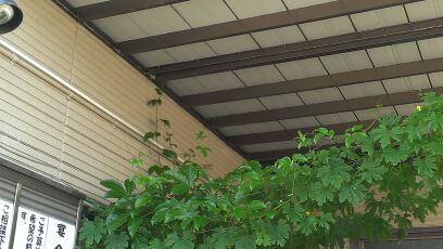 rblog-20140928141331-00.jpg