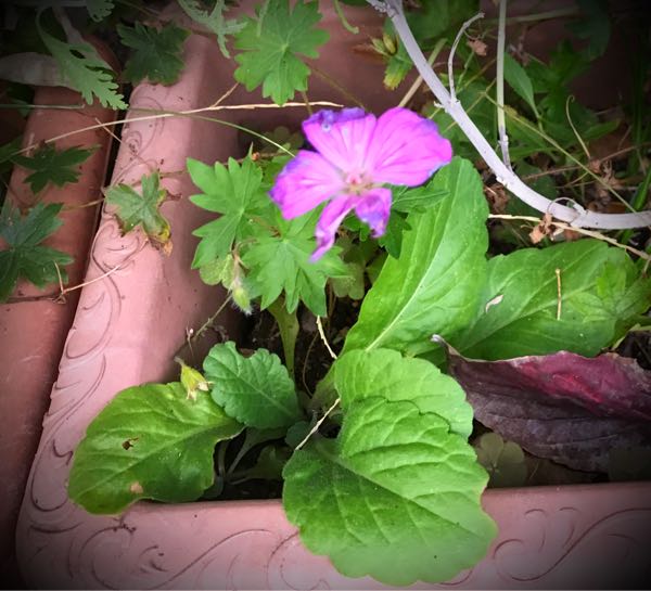 rblog-20161030163019-03.jpg