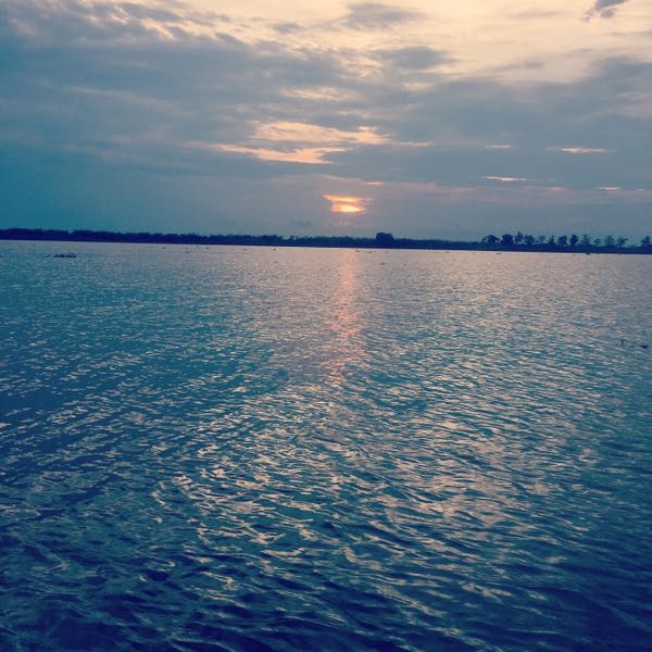 rblog-20190210192419-01.jpg