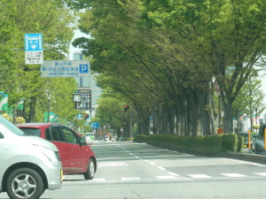 城址大通り　4.29　2013