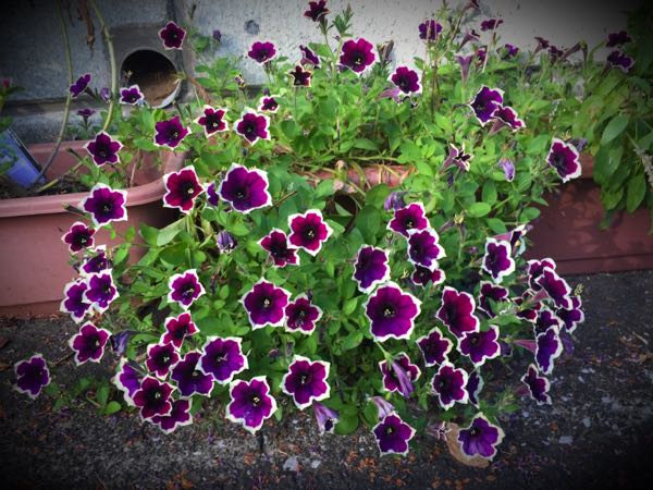 rblog-20160731172856-09.jpg