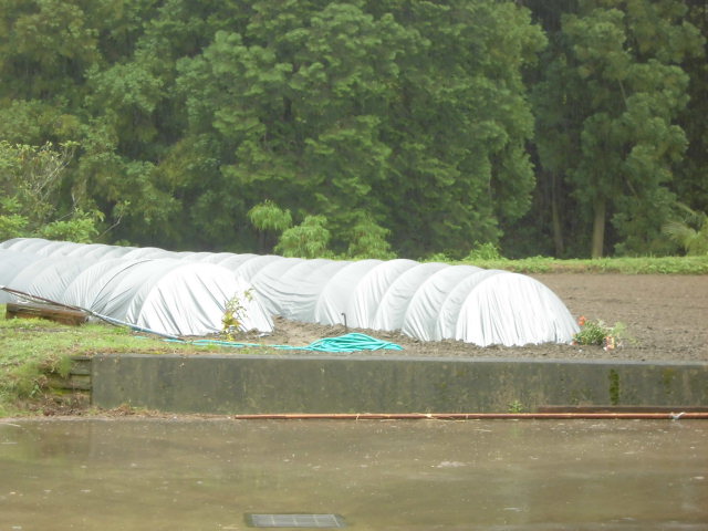 CIMG2812.JPG