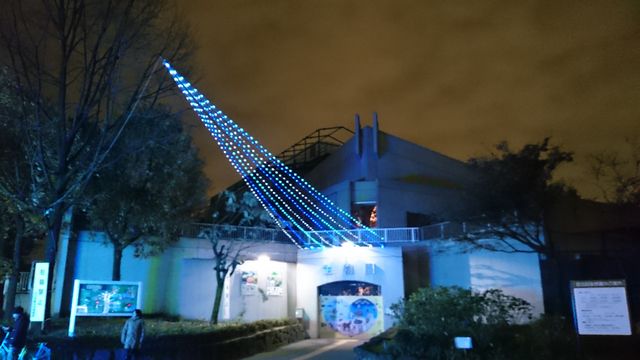2014-12-12 18.46.00.jpg