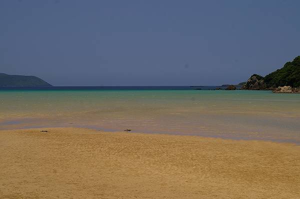 IMGP5504-s.JPG