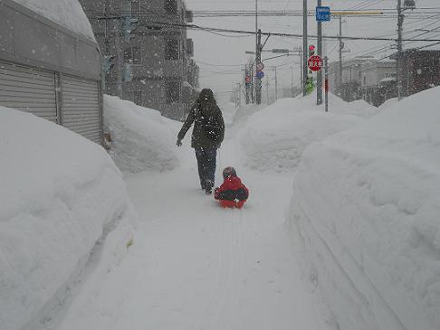 今日も雪
