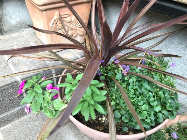 rblog-20180628165032-06.jpg