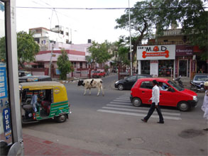 インド843.jpg