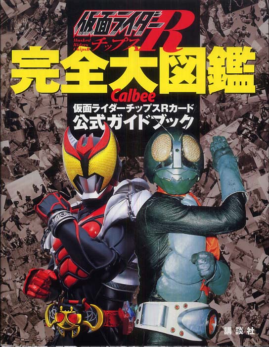 メール便に限り送料無料！！ 仮面ライダーチップスR 最終記録まで