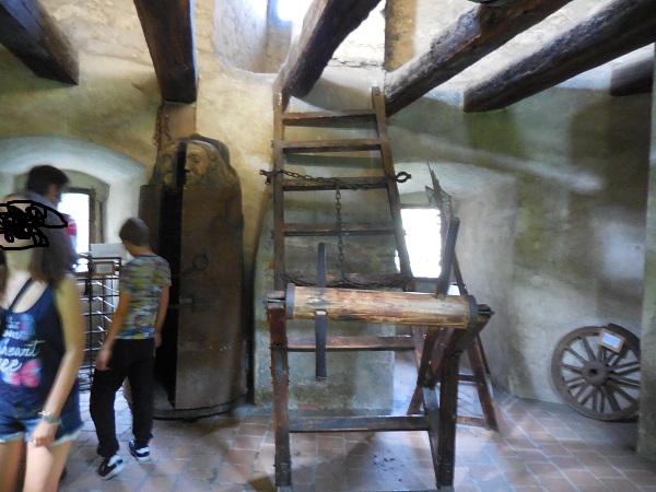DSCN1281.jpg