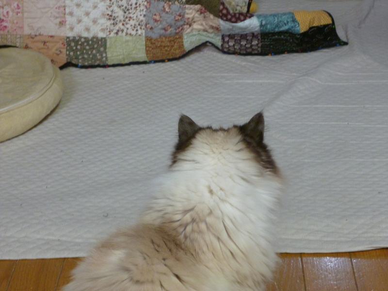 画像 3029.jpg