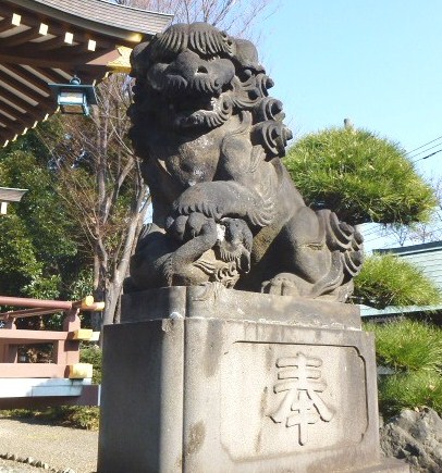 P1110021.JPG