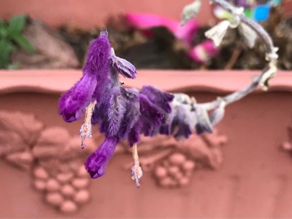 rblog-20181203161122-02.jpg