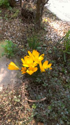 rblog-20140318160705-02.jpg