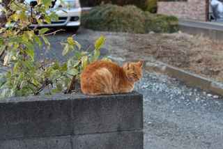 HNI_0003 2013-01-02 15-00.JPG