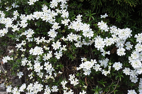 2013.4.26 002.JPG