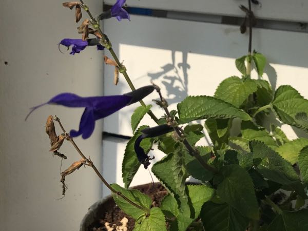 rblog-20170926173842-05.jpg
