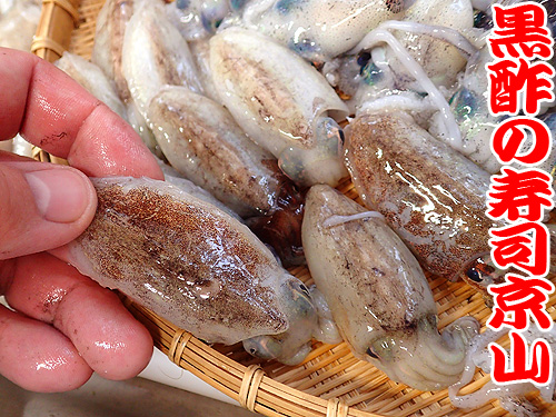 コウイカ　寿司.jpg