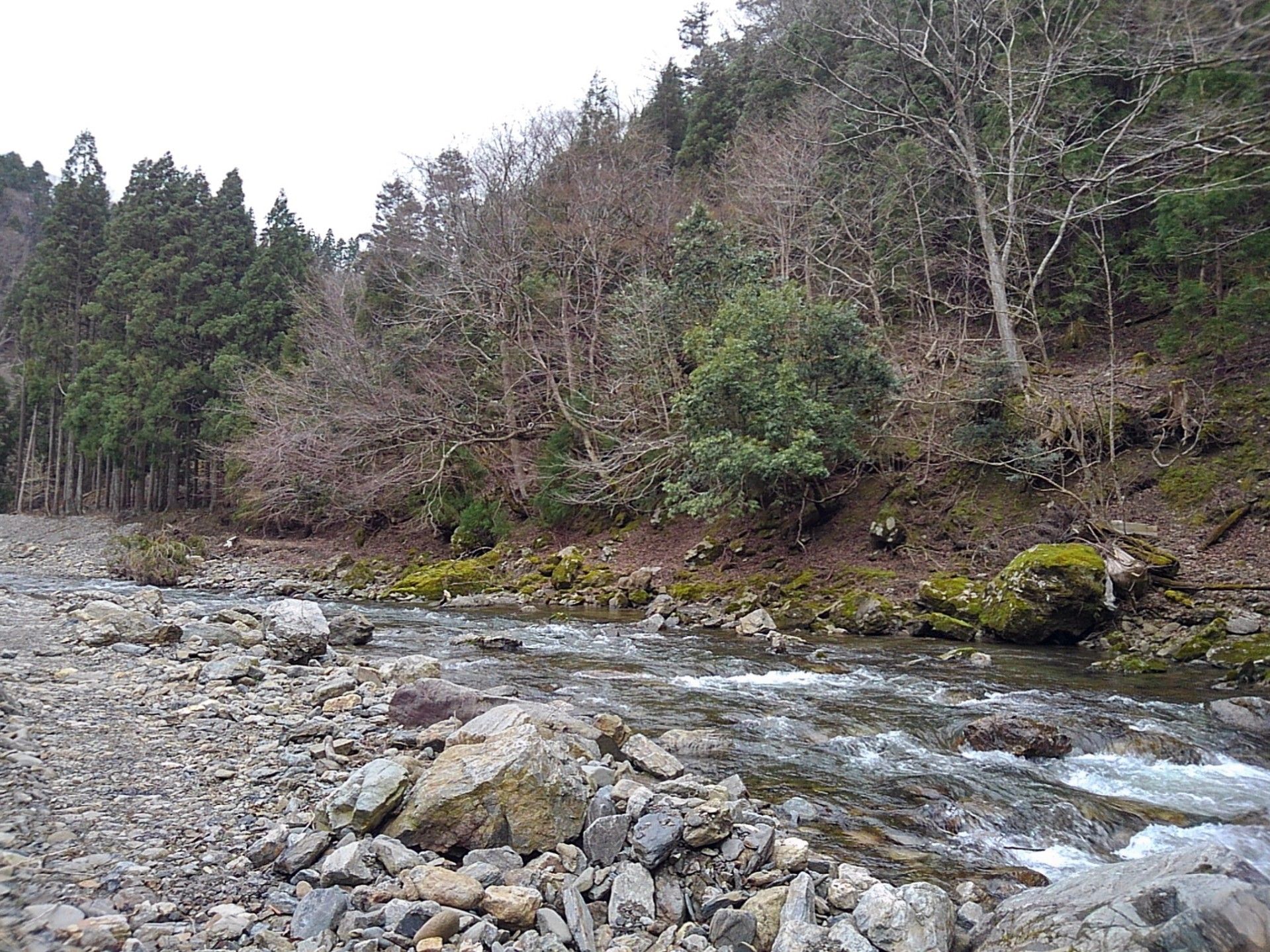 エサ釣り 仕事をサボって釣りをしよう 楽天ブログ