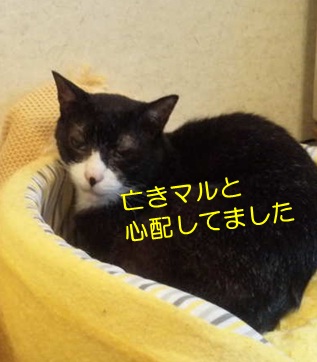 20120817_2.jpg
