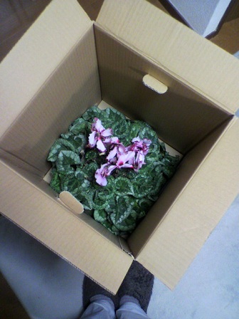 2013011120440000.jpg