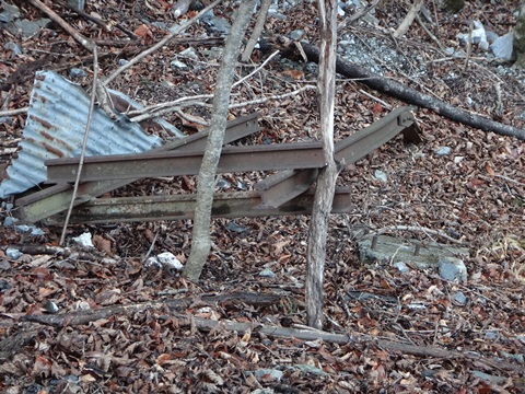 DSC00114.JPG