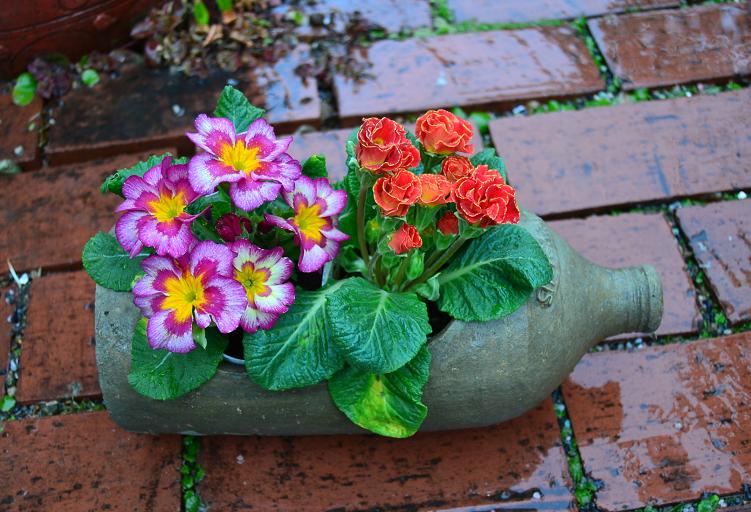 DSC_0111.JPG