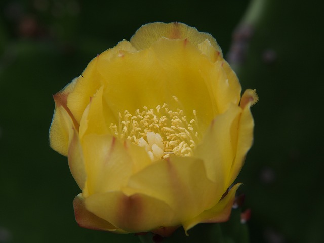 P7240041.jpg