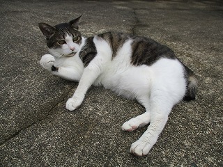 IMG_9547ss.jpg