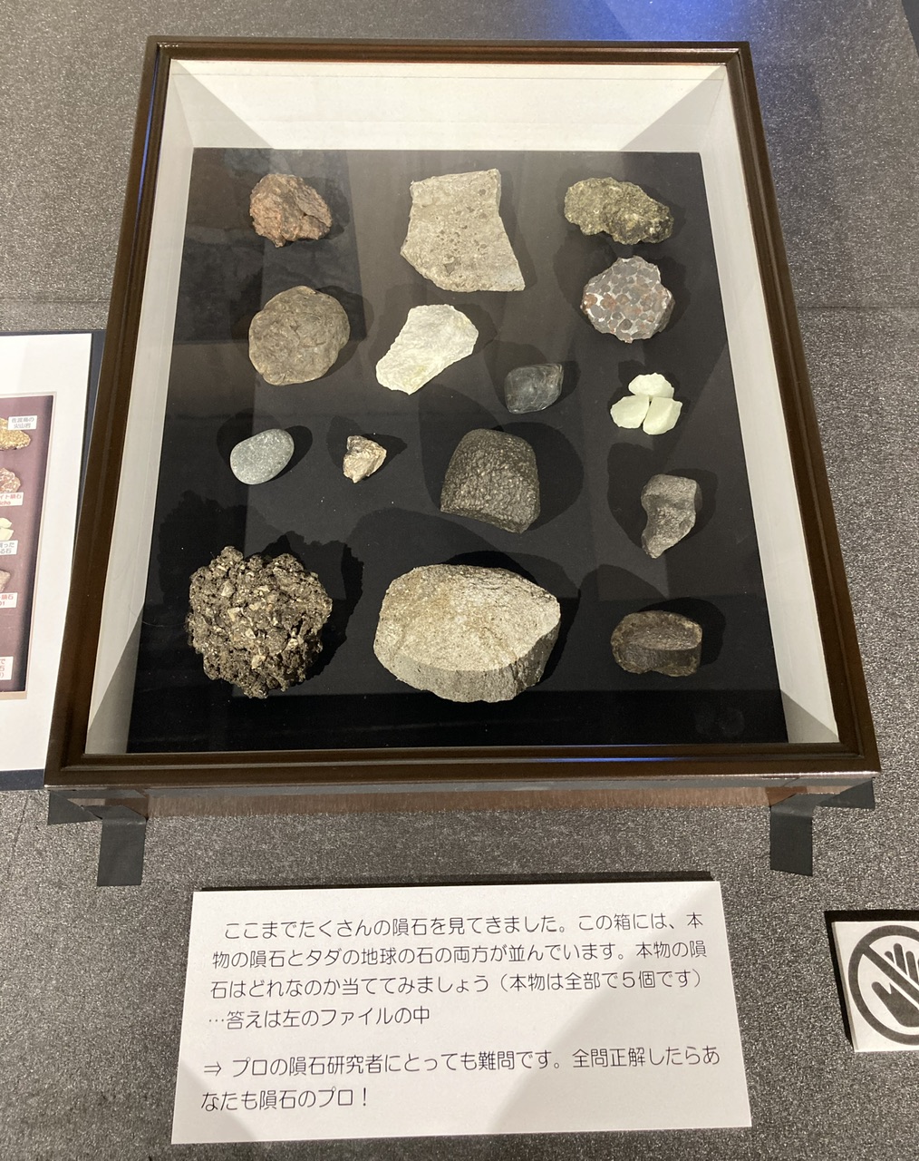 隕石ー星のカケラが語ること」文京区教育センター2階 | もりくまの