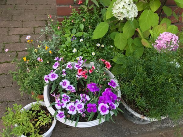 rblog-20180624181904-02.jpg