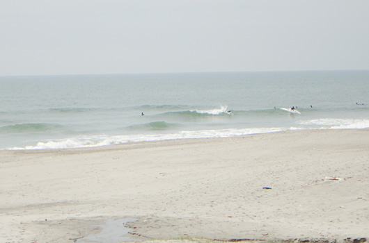 DSC01226.jpg