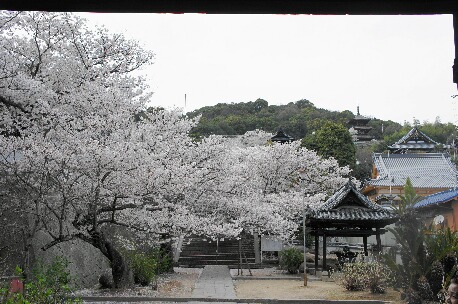 ちっぴーH22.3.29 008.jpg