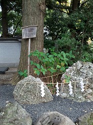 さざれ石.jpg