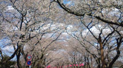 20120404133746.jpg