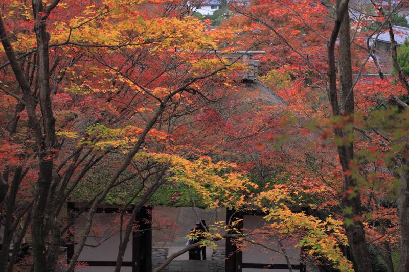 常寂光寺_005.jpg