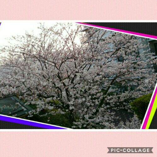 rblog-20180328214419-02.jpg