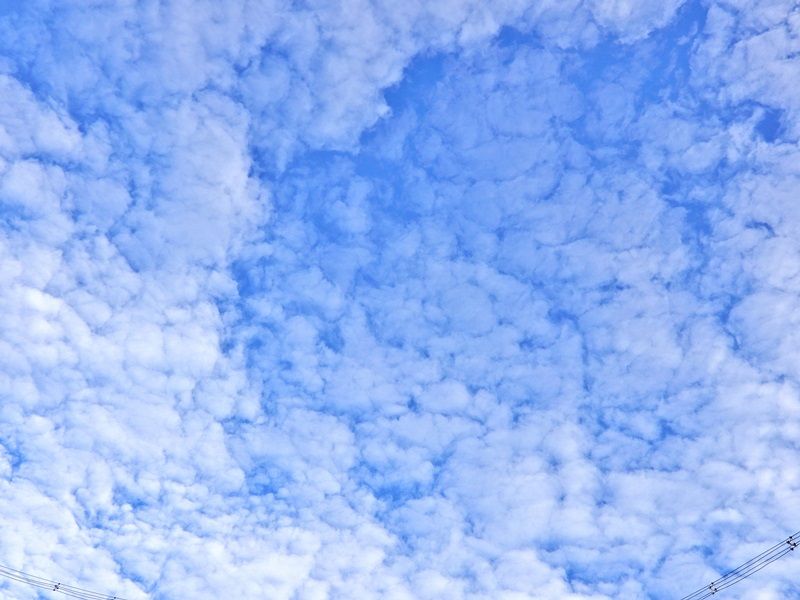 空7