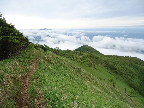 第463回 赤薙山 | 正則の山行記録4 - 楽天ブログ