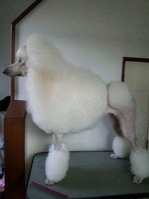 rblog-20131022194556-01.png